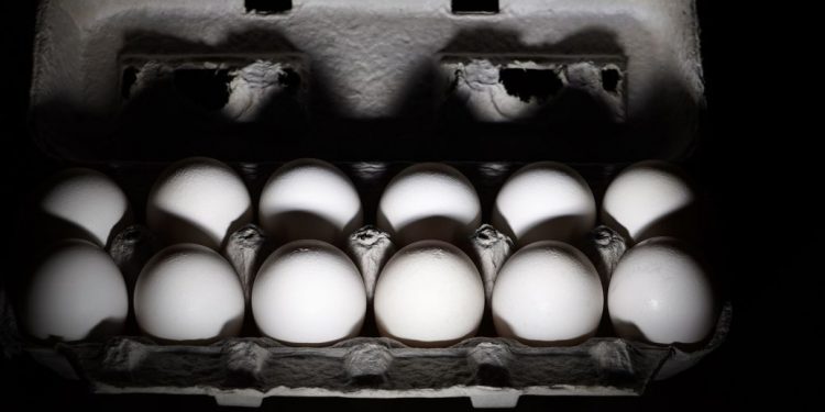 Яйця не викликають алергії