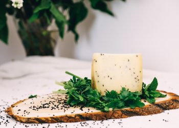 Нова пора – нові смаки. “Семеро Козенят” розкриває асортимент осінніх новинок сирів