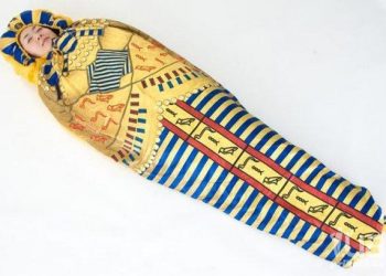 Зареєстрував ПП – отримуй 13 млн: тернопільська мерія встановлює рекорди розтрати коштів громади