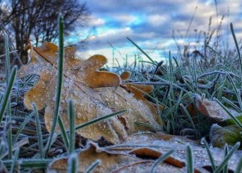 Холоднеча насувається на Тернопільщину