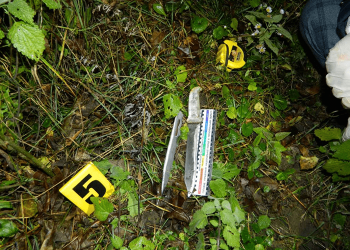 На Гусятинщині вбивство скоїв 72-річний чоловік