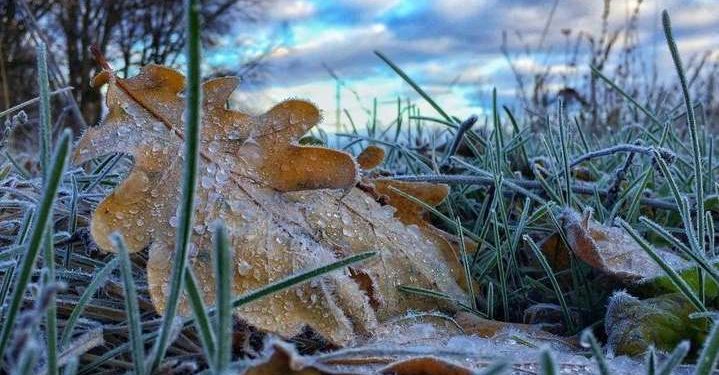 Холоднеча насувається на Тернопільщину