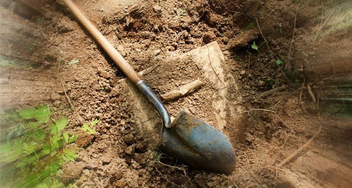 На Тернопільщині знайшли унікальне поховання (відео)