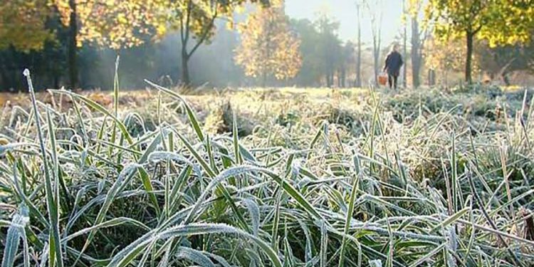 На область насуваються заморозки і похолодання