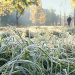 На область насуваються заморозки і похолодання