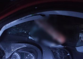 Винуватця моторошної ДТП на Тернопільщині знайшли впродовж кількох годин