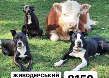 “Живодерський”  проект закону ініціювали депутати з Тернопільщини