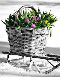 На Тернопільщину насувається антициклон