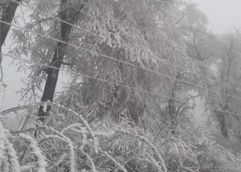 Знеструмлення на Тернопільщині: у чому причини