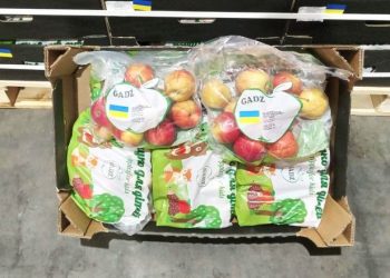 ФГ “Гадз” з Тернопільщини експортує яблука до Великої Британії