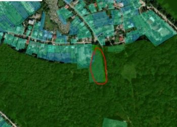 Аукціон де? В тернопільському парку “Загребелля” планують забудову