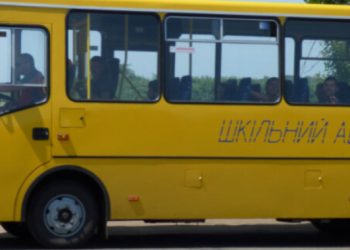 “Схопив учня за шию”: водій шкільного автобуса понесе покарання