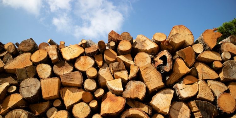 Селищна рада завалила двомільйонну закупівлю, бо не розгледіла електронний підпис