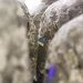 Як зберегти робоче місце мобілізованому