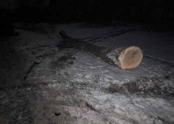 Неподалік Тернополя сталася ДТП з дітьми