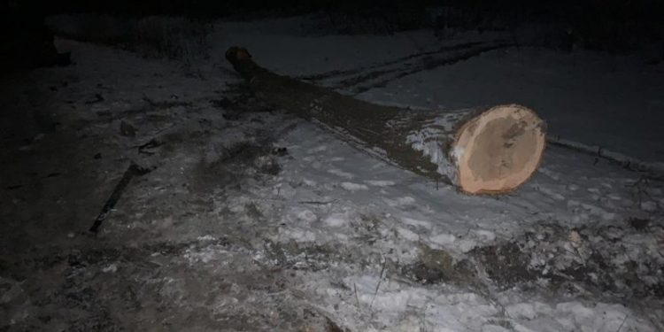 Неподалік Тернополя сталася ДТП з дітьми