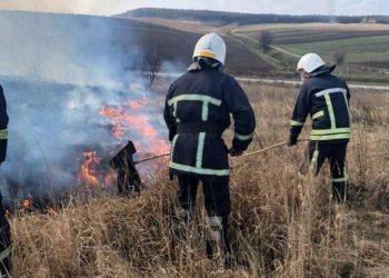 Весна! Неадекватні мешканці Тернопільщини знову палять траву…