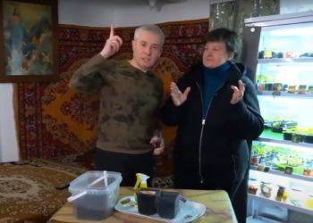 Пенсіонерка з Тернопільщини питяє контент на 200 тисяч підписників (відео)