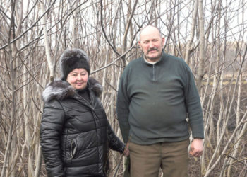 Чиновники знищили цікавий стартап на Тернопільщині