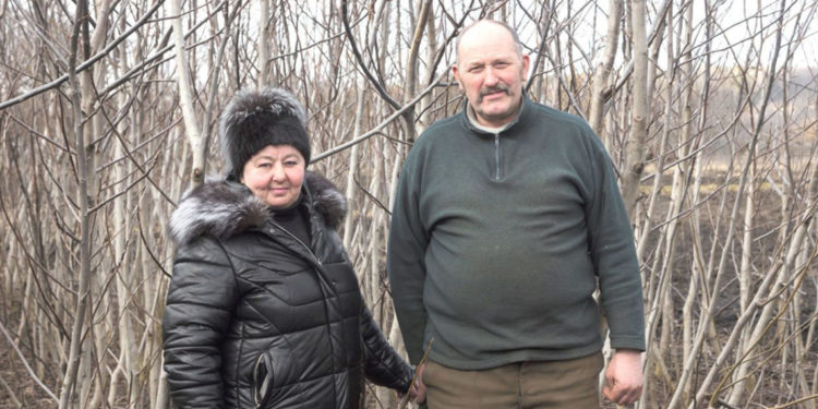 Чиновники знищили цікавий стартап на Тернопільщині