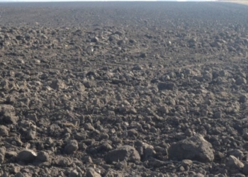 На Тернопільщині є земля, що належить громадянці росії