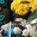 У Тернополі прощалися із бійцем Андрієм Мозілем