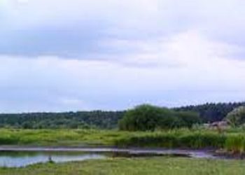 Прокуратура виграла суд у Тернопільської міської ради