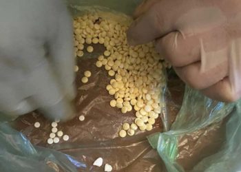 Житель Бережан тримав при собі зброю та наркотики