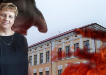 У Збаражі батьки просять притягнути до відповідальності директорку ліцею, яка нехтує безпекою дітей