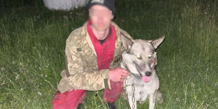 Чоловік загубився в лісі на Тернопільщині