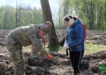 Військові, діти та лісівники посадили ліс на Тернопільщині