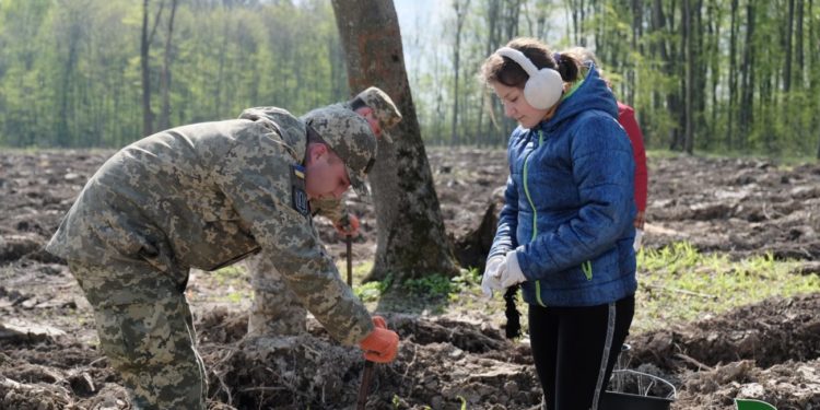 Військові, діти та лісівники посадили ліс на Тернопільщині