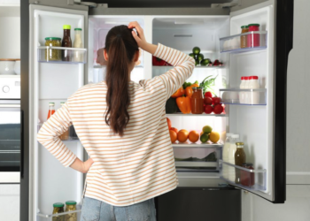 Як правильно розморожувати холодильник