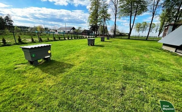 Вулики. Ілюстративне фото