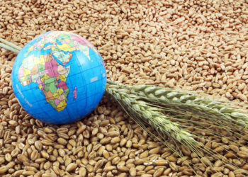 Україна в травні вже експортувала майже 1,5 млн тонн зерна