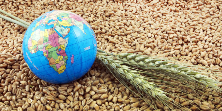 Україна в травні вже експортувала майже 1,5 млн тонн зерна