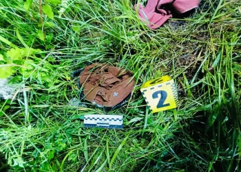 Знайшли зґвалтованою і задушеною: подробиці страшного вбивства 9-річної дівчинки на Прикарпатті (відео)