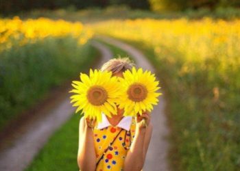 Перші дні липня на Тернопільщині не тішать спекотою