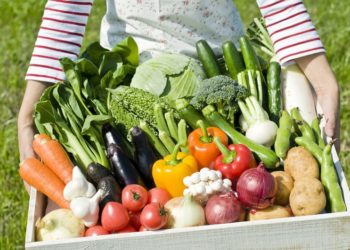 170 сімейних фермерських господарств отримали компенсацію ЄСВ від держави