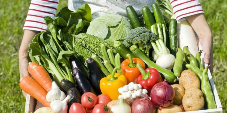 170 сімейних фермерських господарств отримали компенсацію ЄСВ від держави