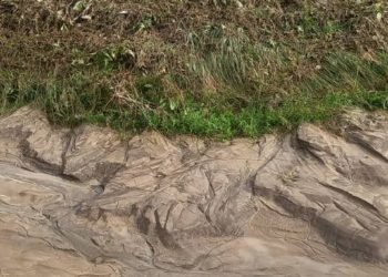 На Тернопільщині рясні зливи наробили біди