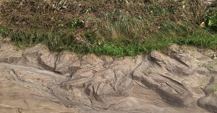 На Тернопільщині рясні зливи наробили біди