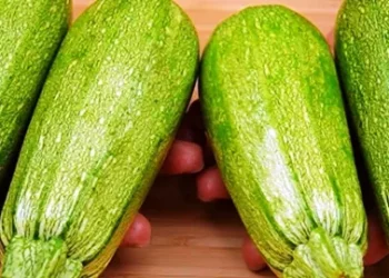 Іспанський рецепт приготування кабачків