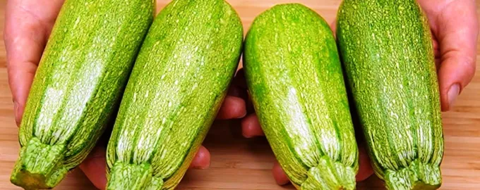 Іспанський рецепт приготування кабачків