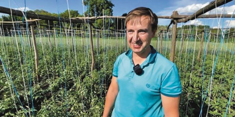Колишній учитель вирощує понад 600 сортів томатів та не шкодує, що змінив фах