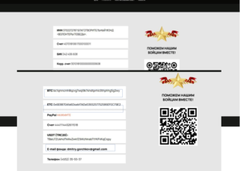 Як українські хакери змусили росіян фінансувати «Азов»