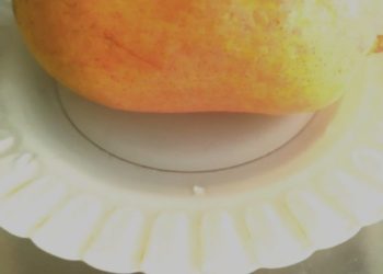 Велетенські груші виростив садівник з Тернопільщини