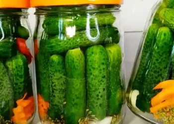 Хрумкі огірочки, які ніколи не каламутніють: тернопільський рецепт