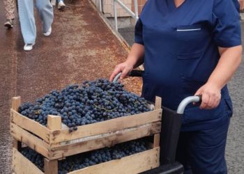 Відомий письменник підтримав бійців, які лікуються у Тернополі