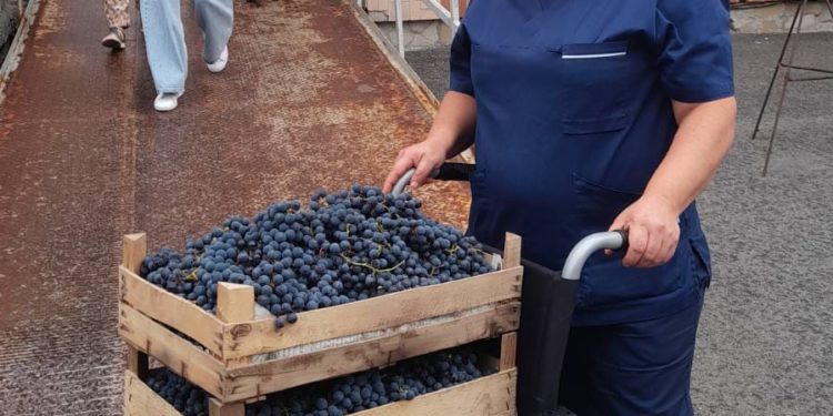 Відомий письменник підтримав бійців, які лікуються у Тернополі